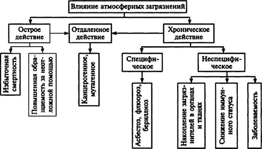 posledstviya hronicheskogo vospaleniya dlya obschego zdorovya vazhnaya rol v prognozirovanii i upravlenii zdorovem