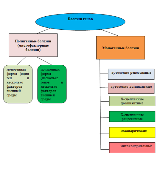 rol genetiki v formirovanii zdorovya i podverzhennosti boleznyam